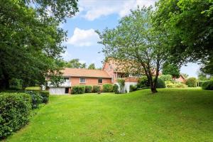 a house with a green yard with a tree at C11605-Olgod-Herningvej-10 in Ølgod