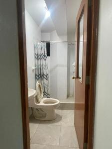 アンダワイラスにあるHotel Castilla Andahuaylasのトイレとシャワー付きのバスルーム