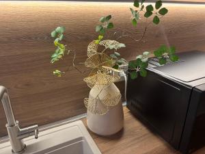 a vase with a plant in it next to a microwave at Salotto Santa Franca in Piacenza +102 photos