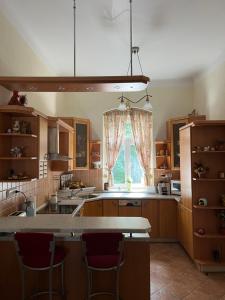 eine Küche mit einer großen Insel mit Fenster in der Unterkunft Apartment Zahradní 31 in Karlsbad