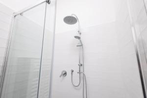 ducha con puerta de cristal y cabezal de ducha en Rose of pyramid, en Roma