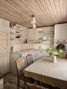 Kuchyň nebo kuchyňský kout v ubytování NamiņŠ AMRAI