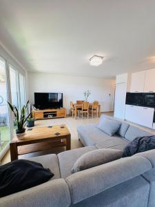 Μια τηλεόραση ή/και κέντρο ψυχαγωγίας στο Appartement près Geneve