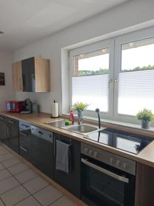 Kuchyň nebo kuchyňský kout v ubytování Ferienwohnung 2 Flüsse mit Dachterrasse für 6 Gäste und max 2 Hunde in 1A Lage