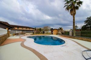 a swimming pool in a yard with a palm tree at OYO Pinewood Inn & Suites Silsbee in Silsbee