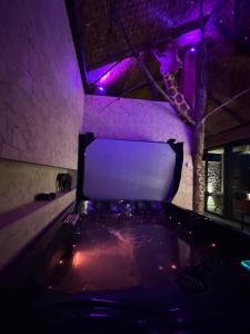 a room with a table with purple lights and a cat at Spa lodge africain in Arques +3 photos