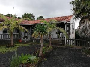 a house with palm trees in front of it at Quinta das Palmeiras, Room 2 in Santa Luzia