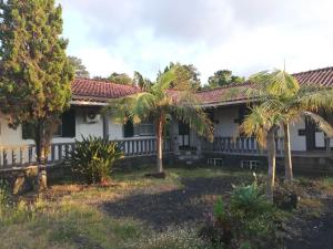 a house with palm trees in front of it at Quinta das Palmeiras, Room 2 in Santa Luzia +13 photos