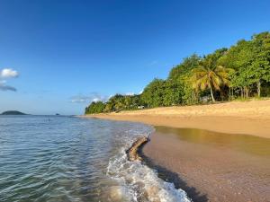 a sandy beach with palm trees and the ocean at BEL BO Haut de villa vu mer et accès mer in Deshaies