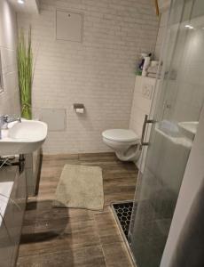 a bathroom with a toilet and a sink and a shower at Apartment im Grünen bis 7 Personen in Buchholz in der Nordheide