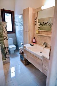 een badkamer met wastafel en toilet bij Voula's Traditional House in Meyisti +36 foto's