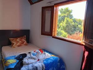 a small bedroom with a bed and a window at Reagan House in Aswan