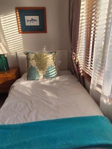 a bed in a bedroom with a window and a pillow at Keurbooms River in Keurboomstrand