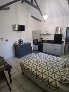 a large kitchen with a bed in a room at Studio Myla2jo in Rémire-Camp