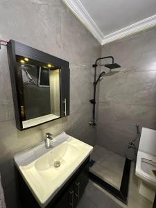 a bathroom with a sink and a shower at Super deluxe apartment in Irbid