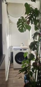 a washing machine in a room with a plant at Le calme ensoleillé in Paris