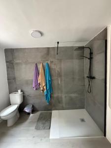 Pontón AltoにあるLa venta de Francisco 1のバスルーム(トイレ、タオル付)が備わります。