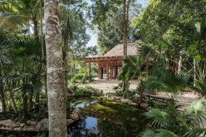 Κήπος έξω από το Onze Xpuha Sanctuary, Tulum