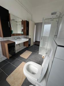 a bathroom with a toilet and a sink at Apartment in Niederdorla