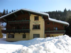 Landhaus Alexa during the winter