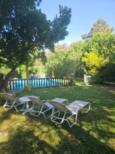 a group of lawn chairs sitting in the grass at Finca rural Labriega del hueznar in Cazalla de la Sierra +94 photos