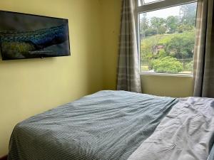 ein Schlafzimmer mit einem Bett und einem Fenster in der Unterkunft Histórico 1 Apartment GUA in Estación La Ermita