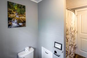 a bathroom with a waterfall painting on the wall at Walk to Lake Family Home with Game Room, Deck and BBQ in Lake Harmony +37 photos