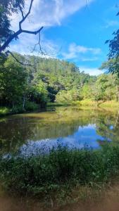 a small pond in the middle of a field at Espaço Casa Mato in Taubaté +1 photo