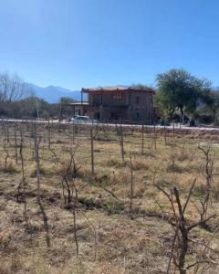 a building in the middle of a field with trees at Della monica in Tinogasta