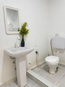 a white bathroom with a sink and a toilet at Zanzllywood Uroa Beach Suites Hotel Apartment in Dikoni +12 photos