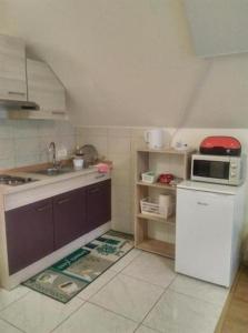 a kitchen with a white refrigerator and a microwave at Apartments with parking space Tuheljske Toplice, Zagorje - 24875 in Tuheljske Toplice
