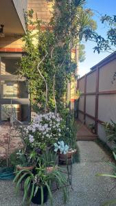 a garden with flowers and plants in front of a building at Nelson - architect designed oasis Port Melbourne in Melbourne