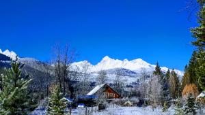 a cabin in the snow with mountains in the background at Country Rustic Loghouse at Teepee Meadows in Valemount