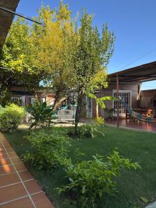 En have udenfor Centro Resort + 66 billeder