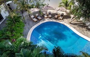 an overhead view of a large swimming pool with chairs and trees at 18-Bed 9BD Hotel Villa - Pool & Kitchen - Full Concierge in Tulum