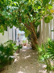 a tree in front of a building with plants at Casa Cielo Cancun in Cancún