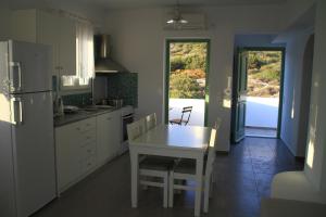 Cuina o zona de cuina de St George Antiparos Apartments and studios