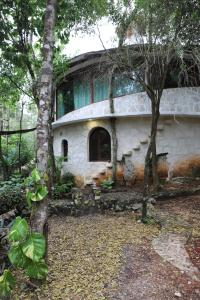 Κήπος έξω από το Casa Caracol