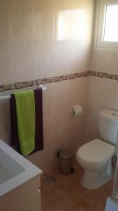 baño con aseo y toalla verde en Maison Zita, en Venda do Atalhinho 6 fotos más