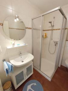 une salle de bain avec une douche, un lavabo et un miroir dans l'établissement Feldblick-im-Landhaus-Haan, à Norden