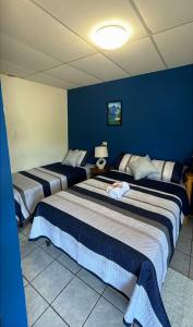 two beds in a room with blue walls at Blue Lion Lodge in Juayúa