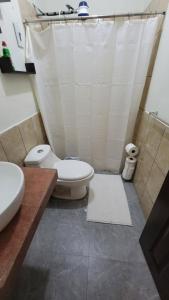 a bathroom with a toilet and a sink at Blue Lion Lodge in Juayúa +7 photos