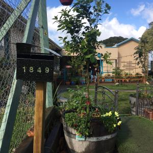 un reloj en una cerca con algunas plantas en cubos en 1849 Backpackers Albany, en Albany