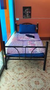 ハード・リンにあるBlue Hostelのベッドルーム1室(青とオレンジの壁のベッド1台付)