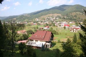 un pequeño pueblo en las montañas con una casa en Casa Lucretia, en Vama