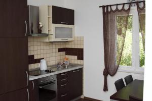 Кухня или мини-кухня в Apartments Vila Oksana

