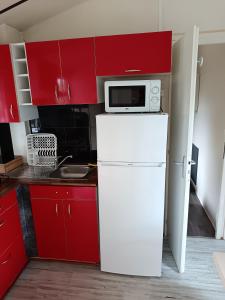 a microwave on top of a refrigerator in a kitchen at CAMPING LE CLOS DU THYM in Argelès-sur-Mer +3 photos