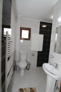 a bathroom with a toilet and a sink at Villa Hills - къща за гости с храна in Orlino +29 photos