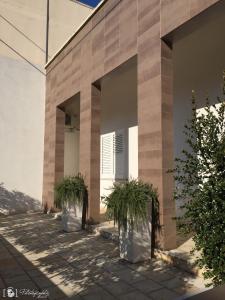 The building in which a panziókat is located