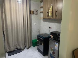 Kuchyň nebo kuchyňský kout v ubytování Aurora studio + 4 fotografie